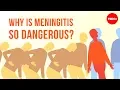 Download Lagu Why is meningitis so dangerous? - Melvin Sanicas