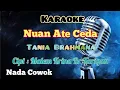 Download Lagu NUAN ATE CEDA | KARAOKE LAGU KARO | NADA COWOK