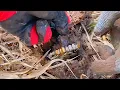 Download Lagu GERMAN WWII SOLDIER FOUND / WWII METAL DETECTING