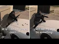 Download Lagu GTA 5 - Crew Deaths (Norm Richards, Daryl Johns, Hugh Welsh, Karim) - All Heist Missions