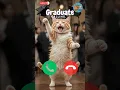 Download Lagu 🤙😺 #ringtone #cat #trending #cutecat #youtubeshorts #viralshort #calling #kitten #shorts #2025trends