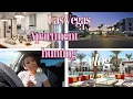 Apartment Hunting in Las Vegas Rent SPECIALS Edition