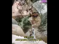 Download Lagu Pelangi - Aku jambatan buatmu
