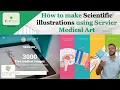 How to make Scientific illustrations using Servier Medical Art