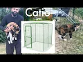 I bought an omlet catio for my cat outdoor pet run