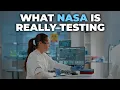 Download Lagu NASA sluit bemanning 365 dagen op in nep-Marsbasis – een kijkje in hun extreme ruimtetest | #spac...
