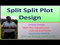 Split Split Plot Design