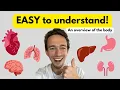 Anatomy and Physiology 101 The ULTIMATE Overview Learn A P Basics FAST