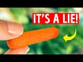 Download Lagu Baby carrots don't really exist // 101 Random Facts to Keep Your Next Conversation Going