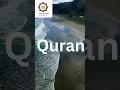Download Lagu Surah Anam \u0026 Surah Araf | Quran  Quran Translation