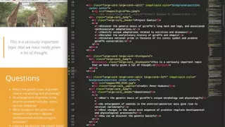 Create an Angular directive using ng-transclude
