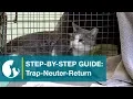 Step by Step Guide Trap-Neuter-Return