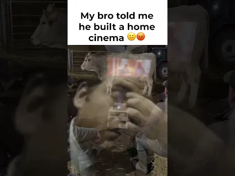 Im not coming over ever again.
