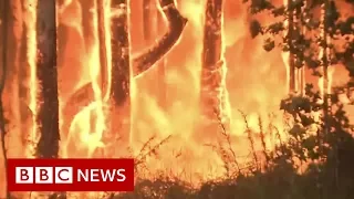 Australia bushfires It s like fireballs exploding in the air - BBC News
