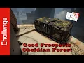 Good Prospects Obsidian Forest