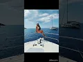 JOY TAYLOR 2024