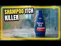 Can a Drugstore Shampoo Actually Beat Stubborn Dandruff and Scalp Itch