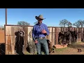 Ben Baldus Tips To Transition to Shank Bit