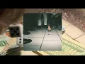 Show Me The Body - People On TV (Official Audio)