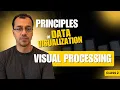 Principles of Data Visualization Class - Visual Processing