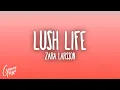 Zara Larsson - Lush Life