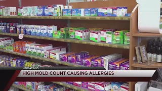 Allergy sufferers flocking to area pharmacies due to high mold count