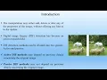Image Copy-Move Forgery Detection Algorithms Based on Spatial Feature Domain