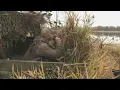 Veterans go on hunting trip in Ridgefield