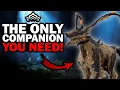 How to Get the ONLY Companion You ll Ever Need in Warframe