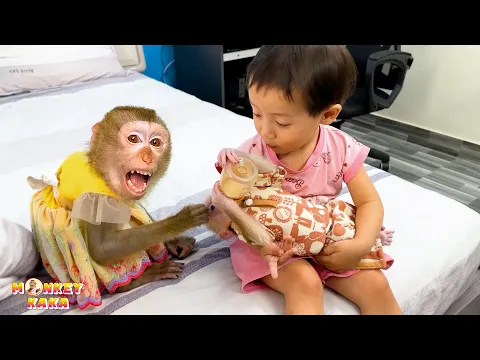 Download MP3 Mom taught Monkey Kaka and Diem to feed monkey Mit to drink milk