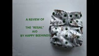 The Regal by Happy Beehinds Cloth diaper review