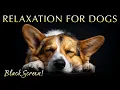 Download Lagu Calming 432Hz Music for Deep Relaxation 🐶 Black Screen for Dogs \u0026 People MP3