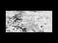 LANA - Truth in the dark