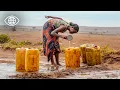 Déforestation, épuisement des terres, malnutrition: le cri d’alerte de Madagascar – Documentaire AMP