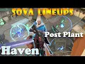 Top 10 New Haven Sova Post Plant Lineups Sova Lineups Haven Sova Shock Dart Haven