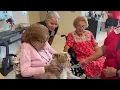 Therapy Dog Visit with Space Coast Therapy Dogs Chateau Madeleine Melbourne FL