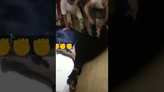 طريقه دبح عجل طريقه ذبح العجل نحر  طريقه دبح عجل طريقه ذبح العجل نحر