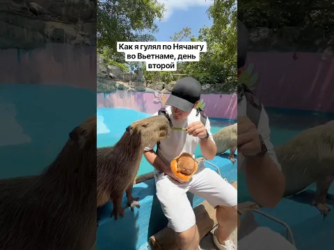 Как я гулял по Нячангу во Вьетнаме, день второй