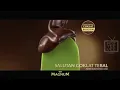 Iklan Walls Malaysia TVC 2023 (Magnum Matcha Crumble)