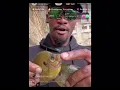 Ambatukam tribute Fishbatublow