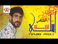 Download Lagu Rajdod Negh | Najib Asli (Official Audio)
