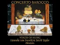 Allegro - Antonio Vivaldi - Concerto in G Minor for Two Cellos and Strings RV 531