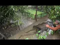 Download Lagu NAGLABASAN ANG MALALAKING ISDA DAHIL SA MALAKAS NA ULAN!!! Buhay Probinsya! Philippines. ASMR.