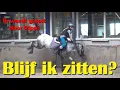 Download Lagu Pony Pippi test me uit op de MANEGE. Ze is aan het BOKKEN en probeert mij eraf te gooien #2031