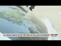 Allergies impacted by return of pollen in Piedmont Triad