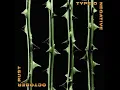 Type O Negative Love You to Death
