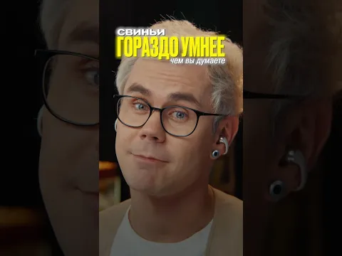 Свиньи недооценены…