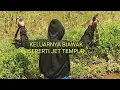 Download Lagu Berburu Biawak Spot Kali #berburu #biawakjumbo #biawak #biawakjawa #adventure #survival #hunter 