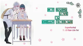 Download [ Điệp Khúc ] Not spring love or cherry blossoms - Superluckqi ft. Lỗ Đạn Lão Sư| TIK TOK MP3