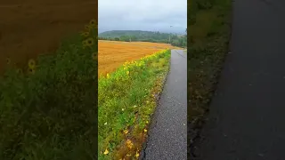 qof kaas ma tahy adiga
